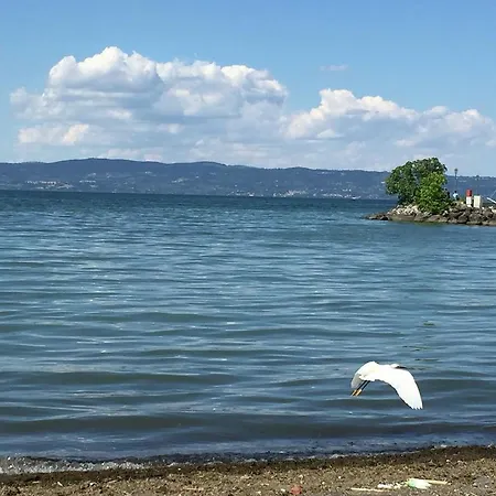 Passeano *